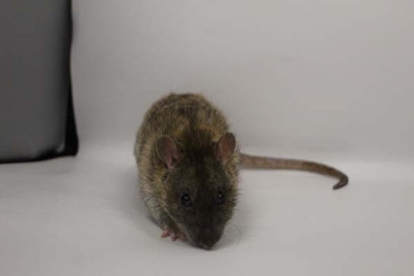 Taken by Rhiannon  (145)