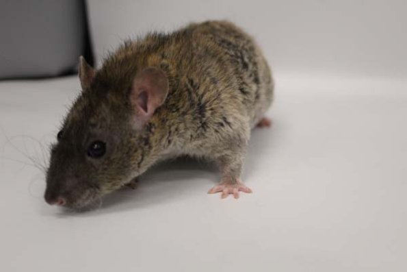 Taken by Rhiannon  (147)