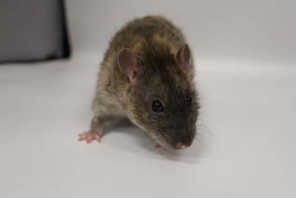 Taken by Rhiannon  (148)