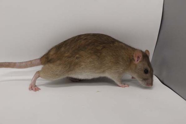 Taken by Rhiannon  (151)