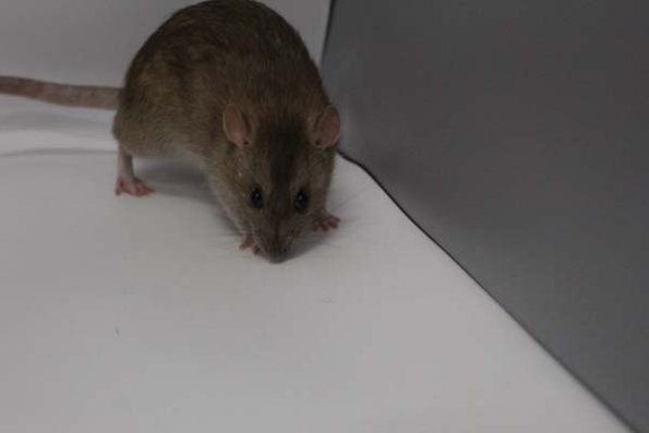 Taken by Rhiannon  (153)