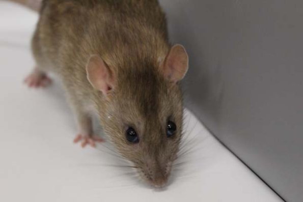 Taken by Rhiannon  (154)