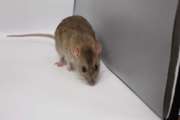 Taken by Rhiannon  (155)