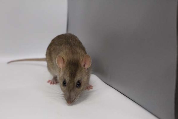 Taken by Rhiannon  (158)