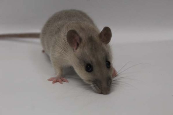 Taken by Rhiannon  (162)