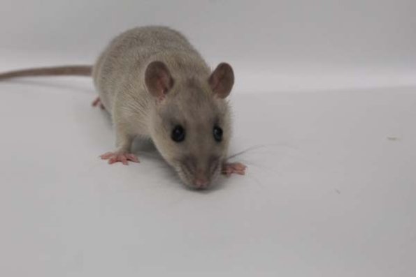 Taken by Rhiannon  (163)