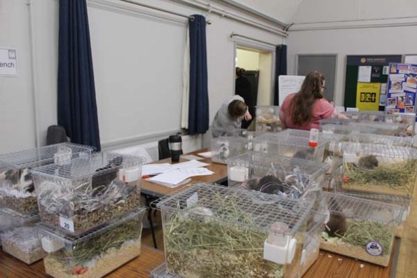 Taken by Rhiannon  (17)