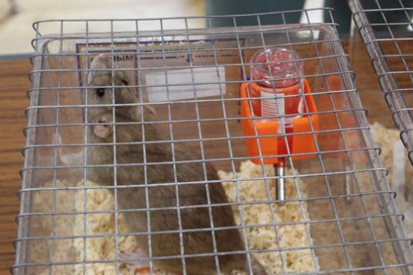 Taken by Rhiannon  (20)