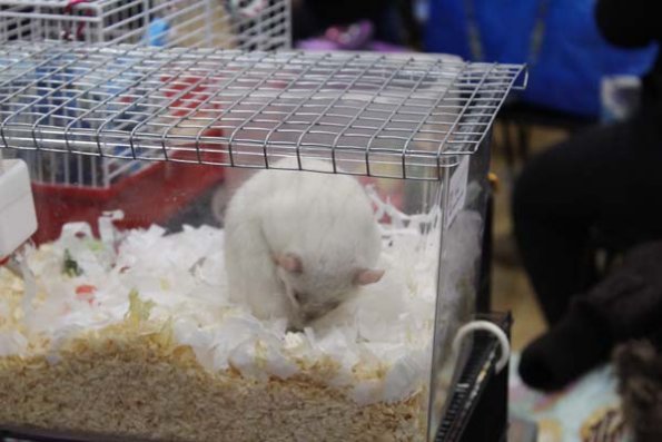 Taken by Rhiannon  (23)