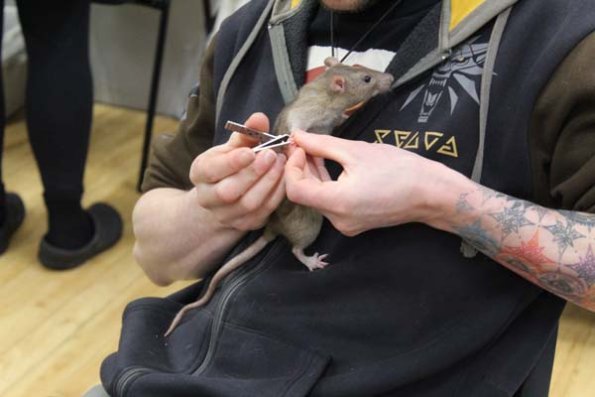 Taken by Rhiannon  (39)