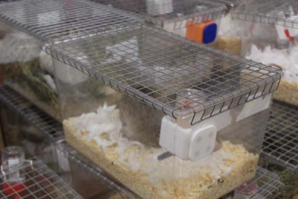 Taken by Rhiannon  (45)