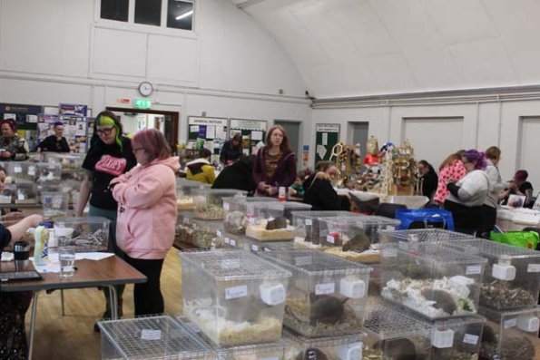 Taken by Rhiannon  (48)