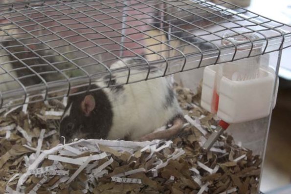 Taken by Rhiannon  (54)