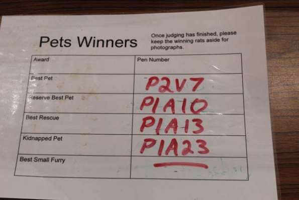 Taken by Rhiannon  (71)