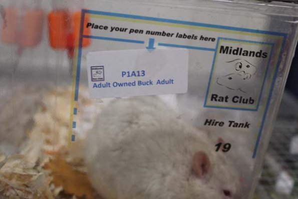 Taken by Rhiannon  (72)