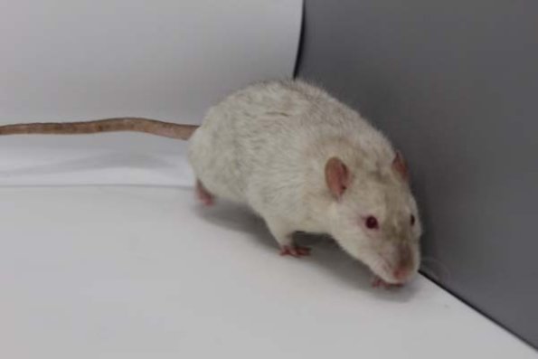 Taken by Rhiannon  (73)