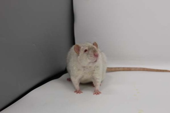 Taken by Rhiannon  (75)