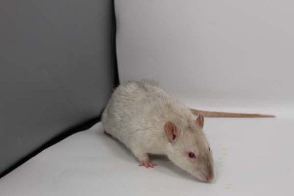 Taken by Rhiannon  (76)