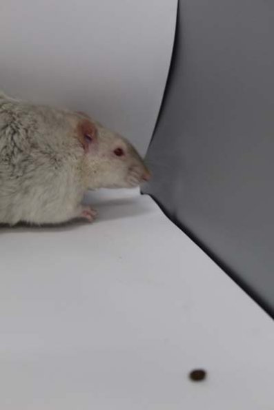 Taken by Rhiannon  (77)