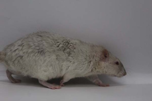 Taken by Rhiannon  (78)