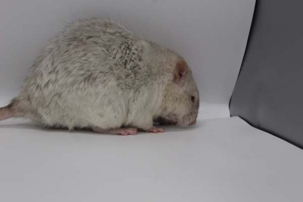 Taken by Rhiannon  (80)