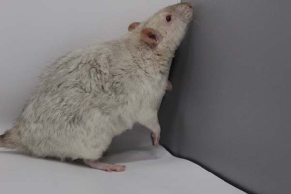 Taken by Rhiannon  (82)