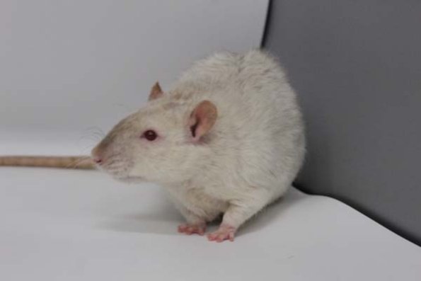 Taken by Rhiannon  (85)