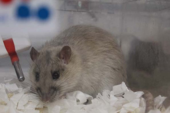 Taken by Rhiannon  (86)