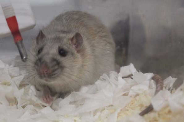 Taken by Rhiannon  (87)