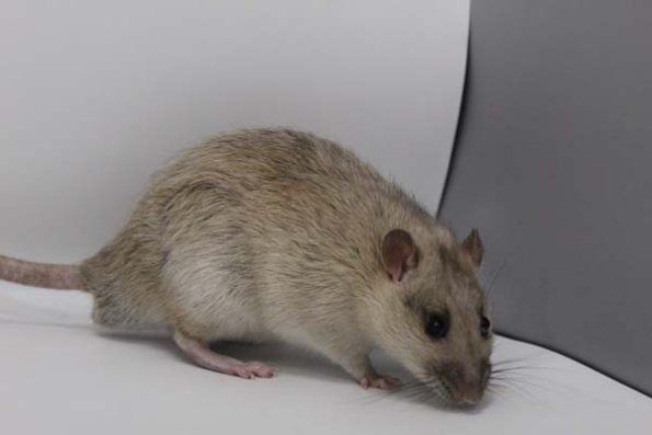 Taken by Rhiannon  (95)