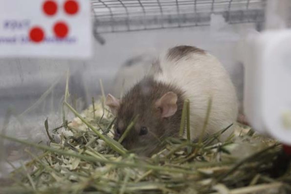 Taken by Rhiannon  (97)